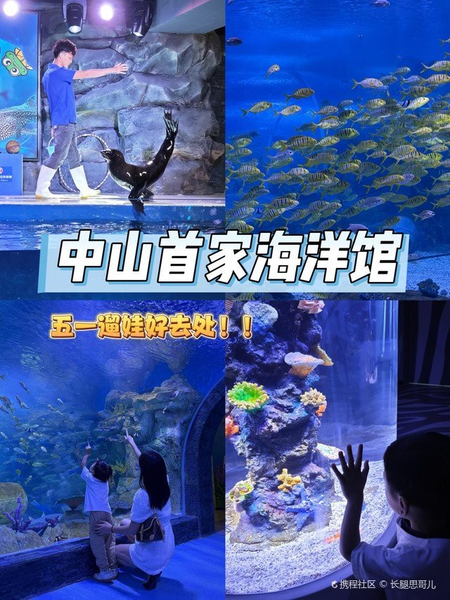 中山水族店，中山市擁有多家特色水族店分布在不同區(qū)域?yàn)槭忻裉峁┒鄻踊?wù)