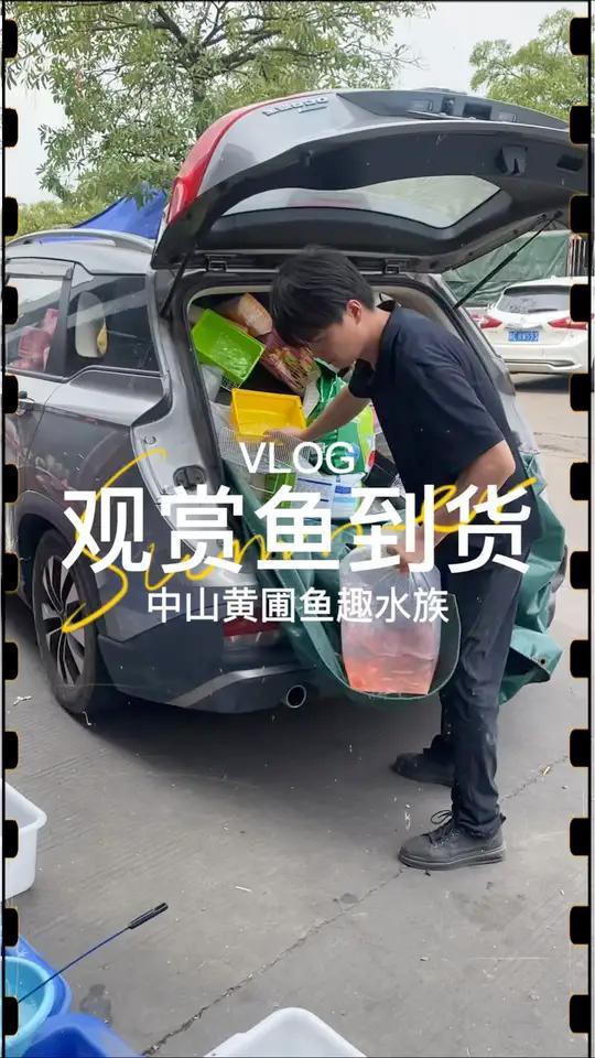 中山水族店，中山市擁有多家特色水族店分布在不同區(qū)域?yàn)槭忻裉峁┒鄻踊?wù)