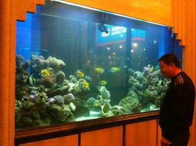 株洲魚缸定做,株洲魚缸定做服務 全國水族館企業名錄 第2張 株洲魚缸定做,株洲魚缸定做服務 株洲魚缸定做,株洲魚缸定做服務 全國水族館企業名錄 第2張