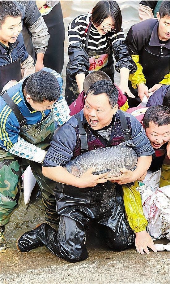 衢州龍魚店，衢州龍魚咖啡店