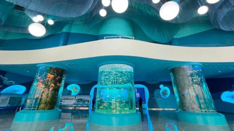 江西水族店，江西水族店耗資千萬打造“海底世界”宜春跨年又有新去處