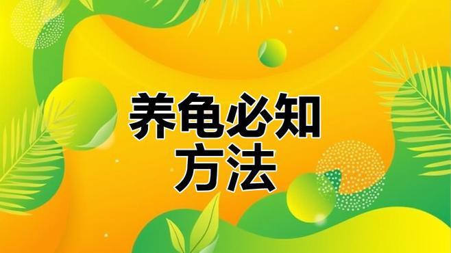 如何保養和清潔龍龜？，《如何保養和清潔龍龜》