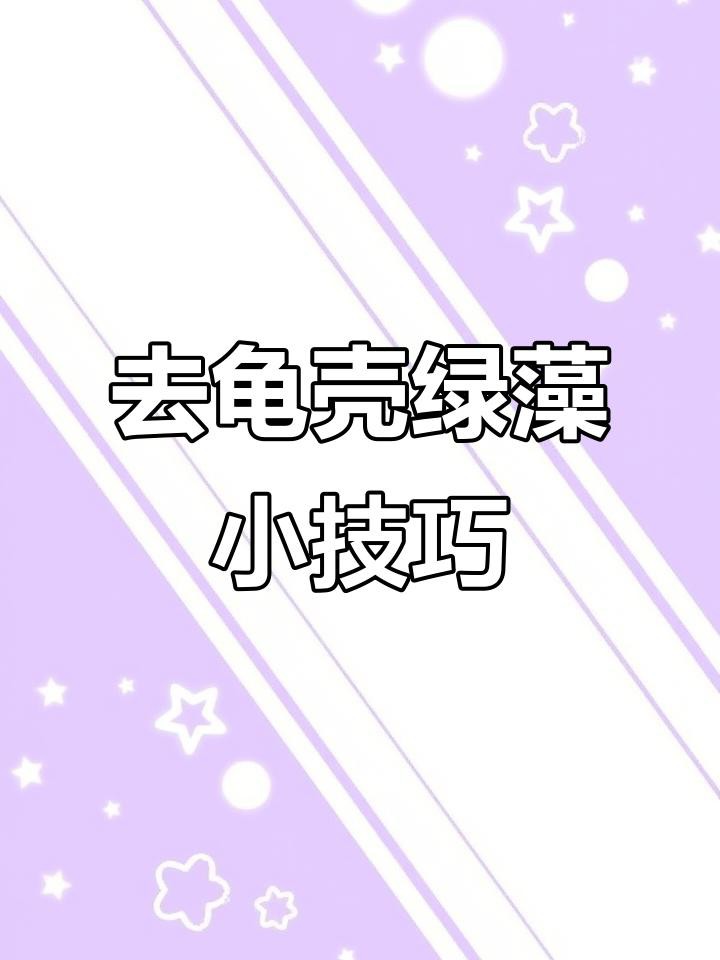 如何保養和清潔龍龜？，《如何保養和清潔龍龜》