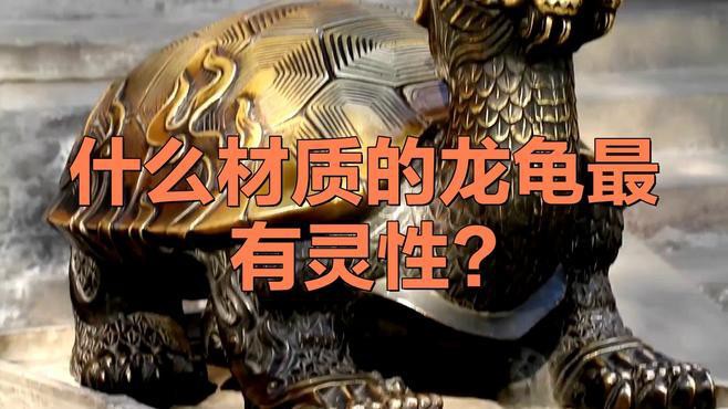 哪些材質的龍龜最具有靈性？，什么材質的龍龜最具有靈性