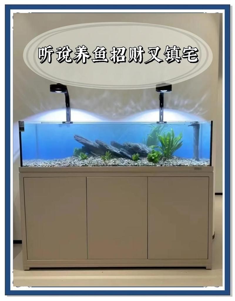 家里養財神魚的風水作用，財神魚養殖與家居風水