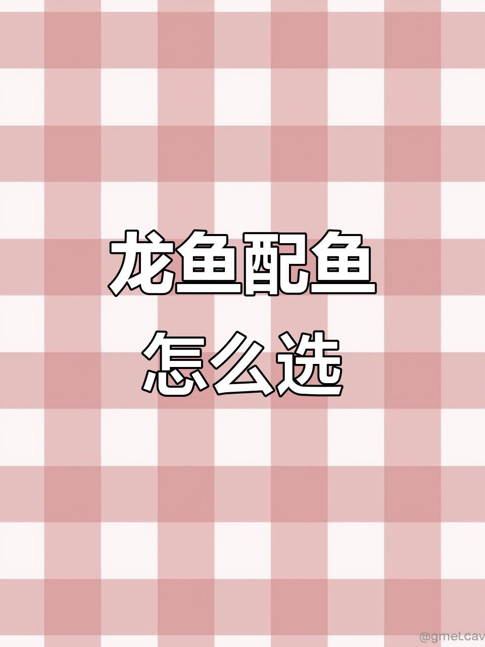 哪些品種的龍魚適合混養？，養魚知識|可以和龍魚混養的6種魚 哪些品種的龍魚適合混養？，養魚知識|可以和龍魚混養的6種魚 龍魚百科 第4張