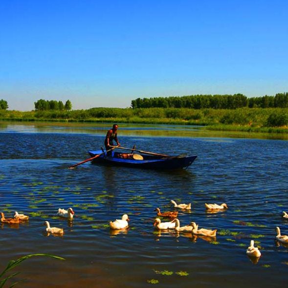 松原水族館，吉林松原水族館水下世界水下世界水下世界水下世界