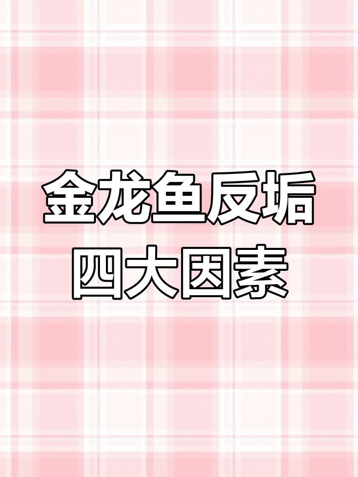 如何判斷龍魚是否進入反垢期？，《如何判斷龍魚是否進入反垢期》龍魚反垢期至關重要