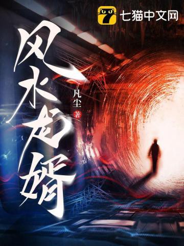 《風(fēng)水龍婿》的詳細(xì)劇情介紹，有聲書:《風(fēng)水龍婿》