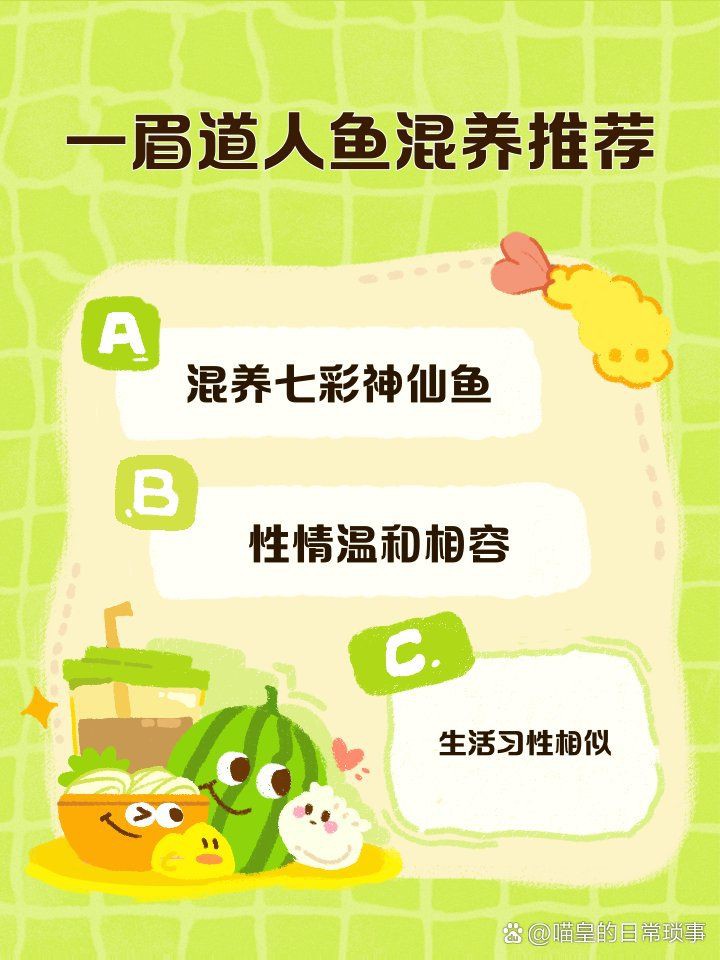 剛果美人和一眉道人混養，剛果美人與一眉道人混養攻略 剛果美人和一眉道人混養，剛果美人與一眉道人混養攻略 全國水族館企業名錄 第14張