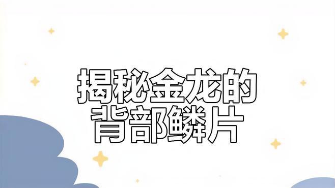 如何辨別金頭金龍魚的真偽和品質？，如何辨別金頭金龍魚的真偽與品質