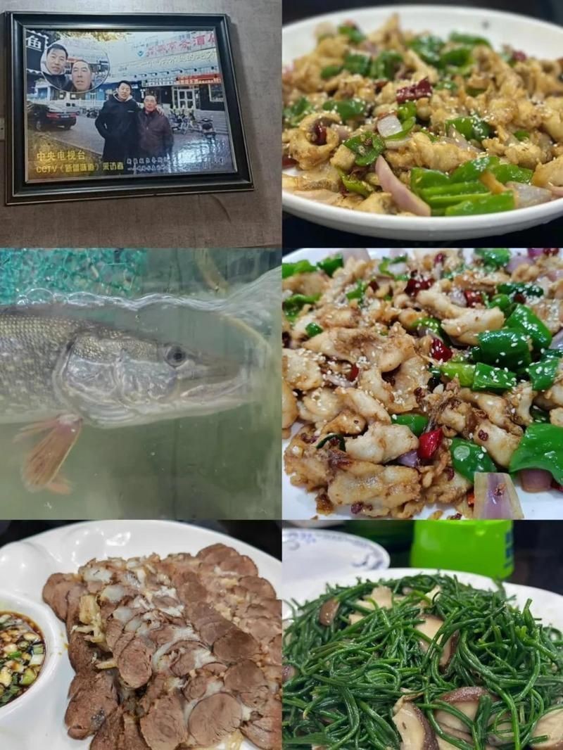 阿勒泰龍魚店，阿勒泰地區龍魚店