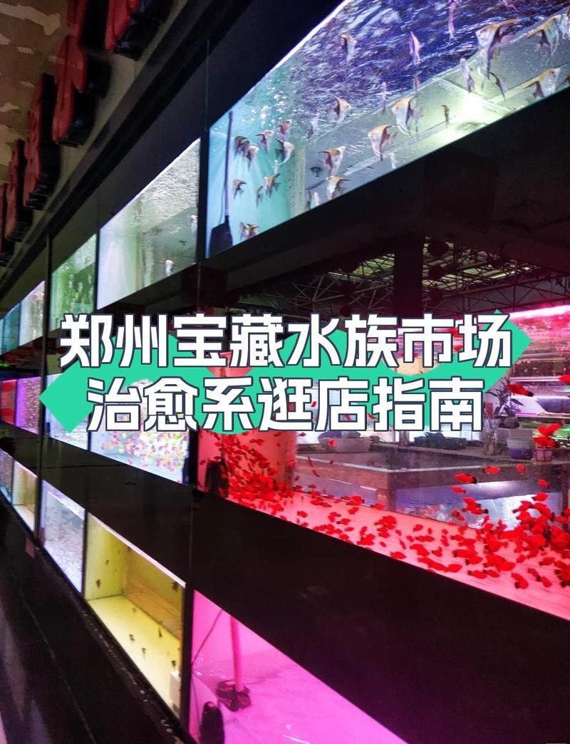 鄭州魚缸批發市場，鄭州漁具批發在哪里