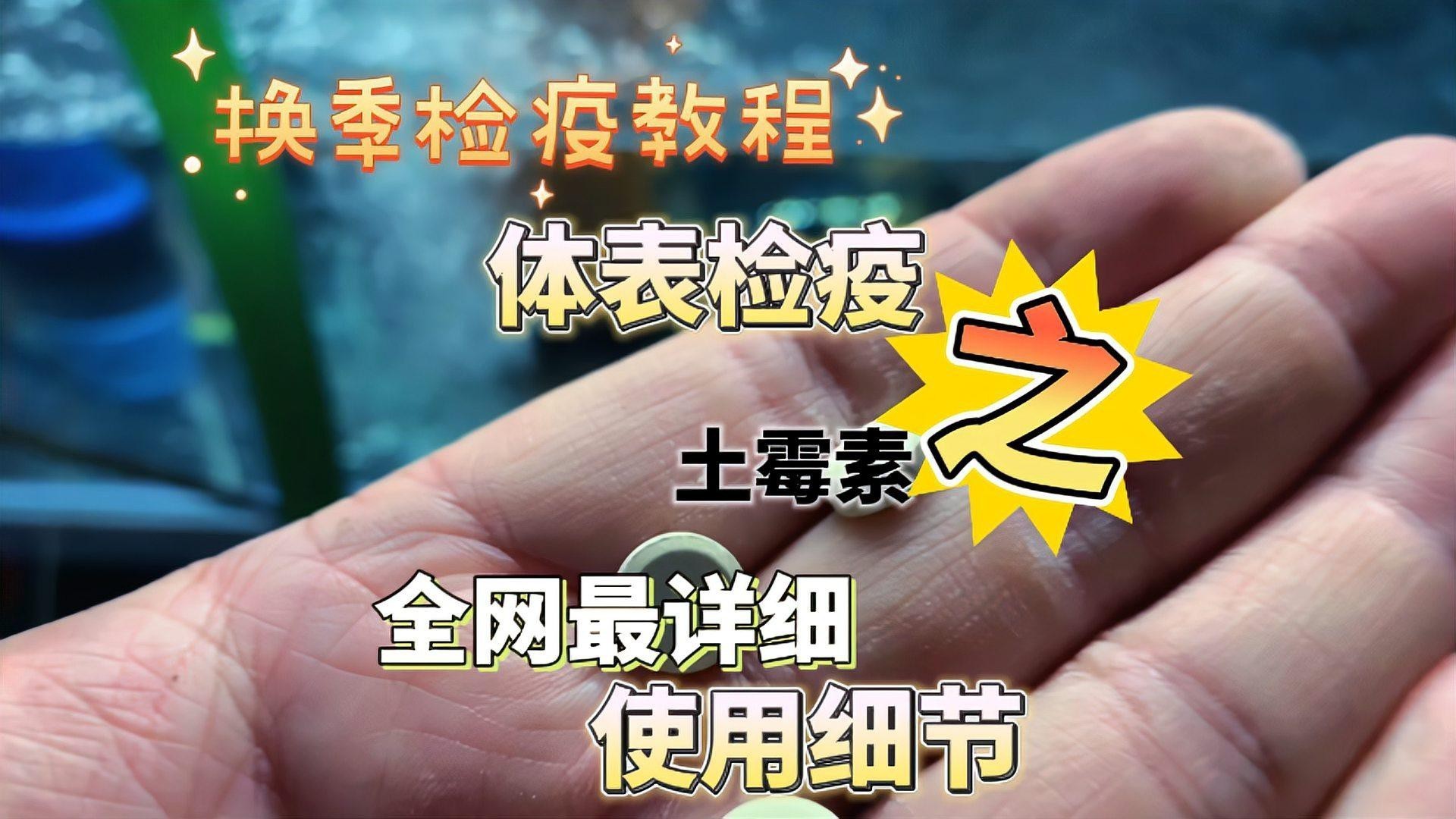 土霉素對龍魚的治療效果如何？，土霉素與其他藥物如何配合使用土霉素治療龍魚需要多久見效