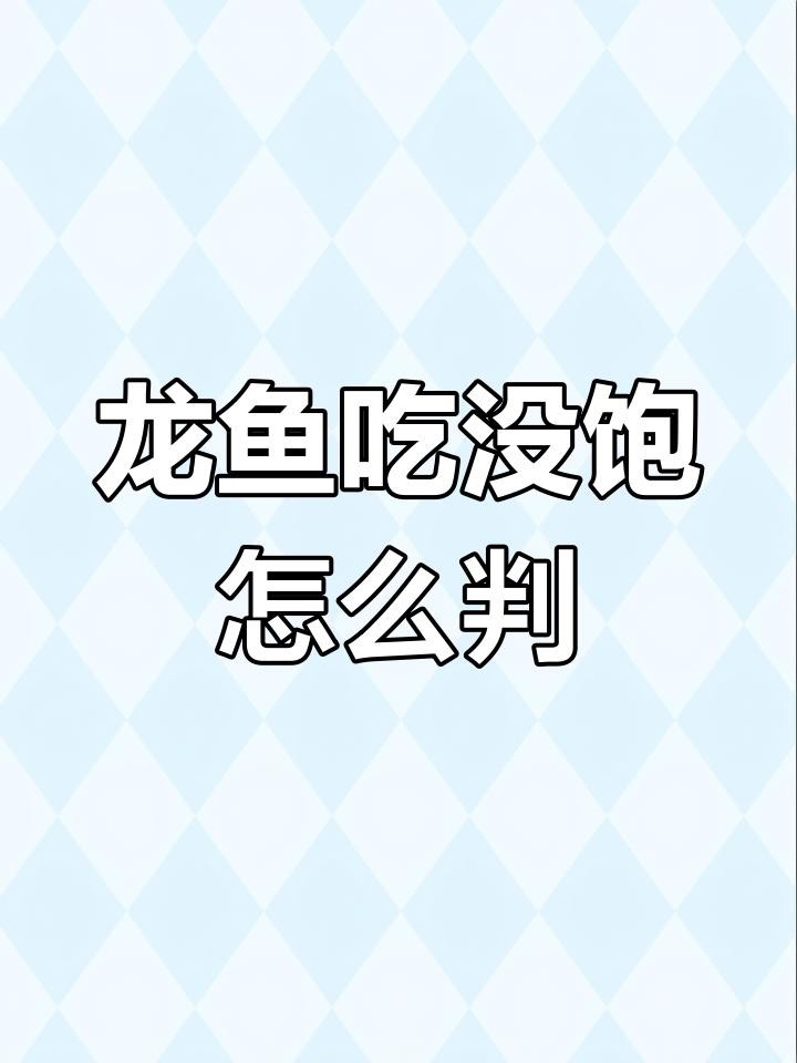 如何判斷龍魚是否恢復進食？，《如何判斷龍魚是否恢復進食》