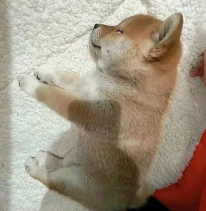 怒江傈僳族自治州水族批發市場，怒江傈僳族自治州水族批發市場是當地重要的特色產業聚集地