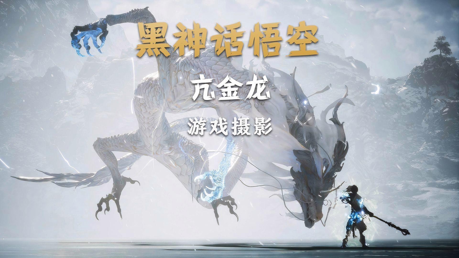 如何拍攝出震撼的金龍圖片？，如何拍出震撼的金龍圖片第三期】嗶哩嗶哩嗶哩嗶哩