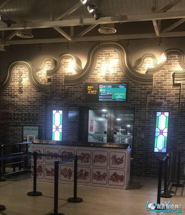 哪里可以找到過背金龍魚的養殖基地？，過背金龍魚養殖基地