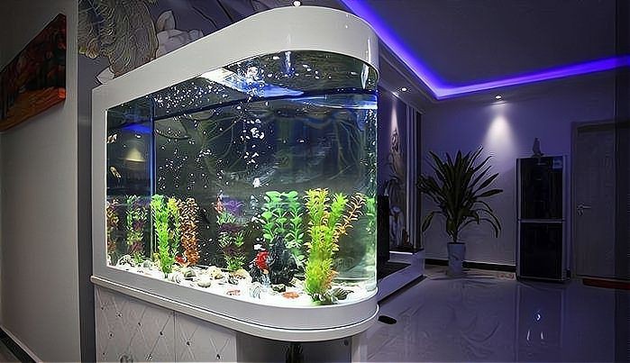 澳門魚缸定做，澳門水母缸定做的綜合指南