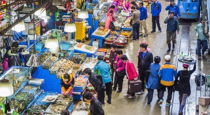 西寧水族批發市場，暢捷通chanjet2024年水產品批發行業發展前景分析