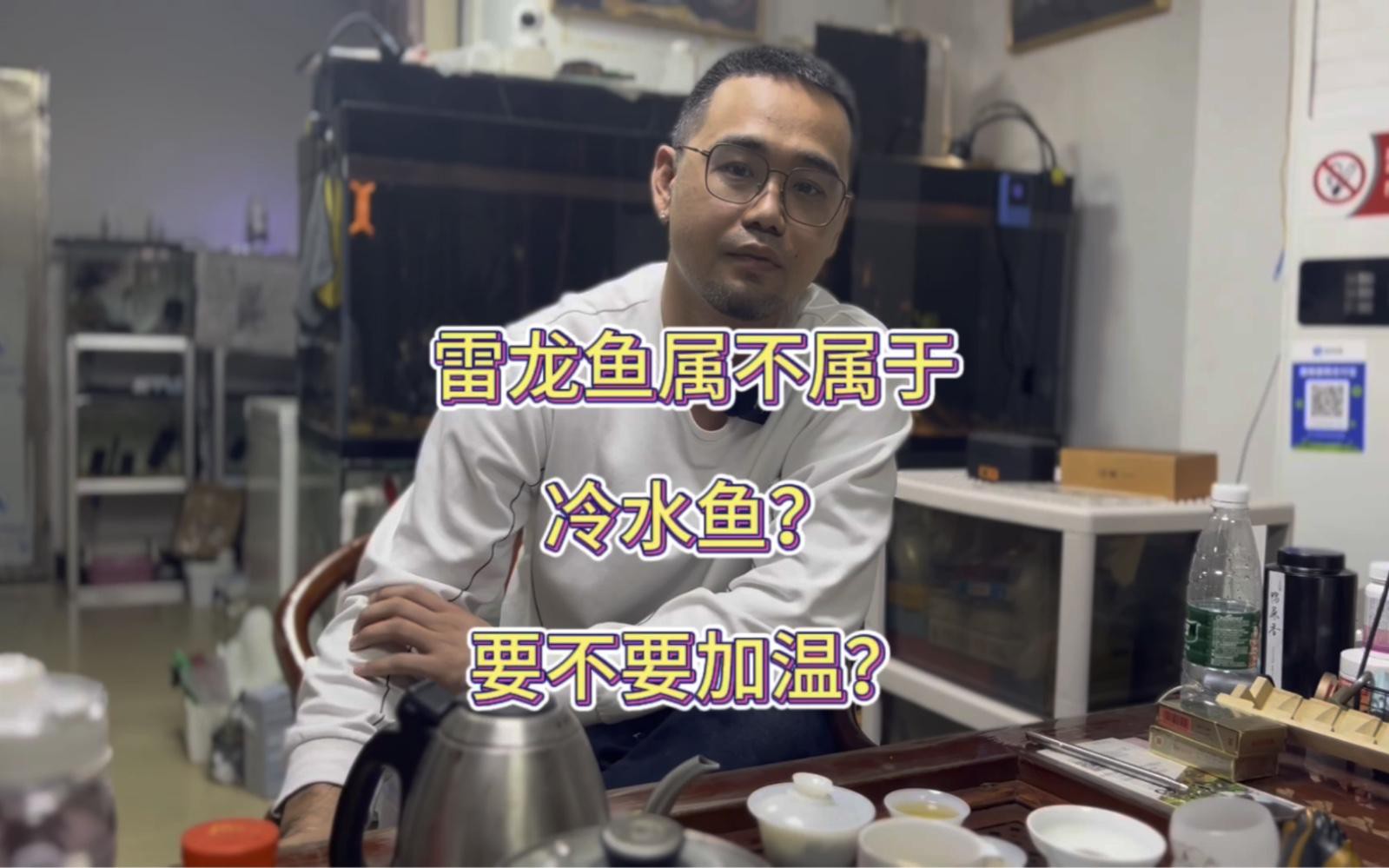 哪些雷龍魚(yú)適合新手飼養(yǎng)？，四大雷龍品種大揭秘,新手必看!