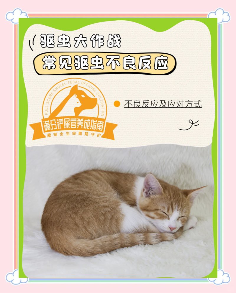 如何判斷龍魚是否驅蟲成功？，《如何判斷龍魚是否驅蟲成功》判斷龍魚是否驅蟲成功 如何判斷龍魚是否驅蟲成功？，《如何判斷龍魚是否驅蟲成功》判斷龍魚是否驅蟲成功 龍魚百科 第6張