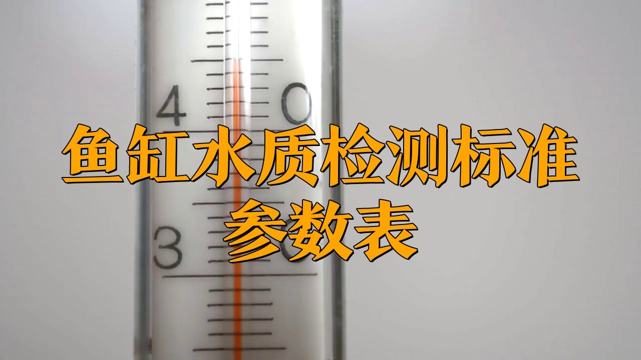 如何判斷龍魚是否適應環境？，判斷龍魚是否適應環境從ph值到穩定性全解析