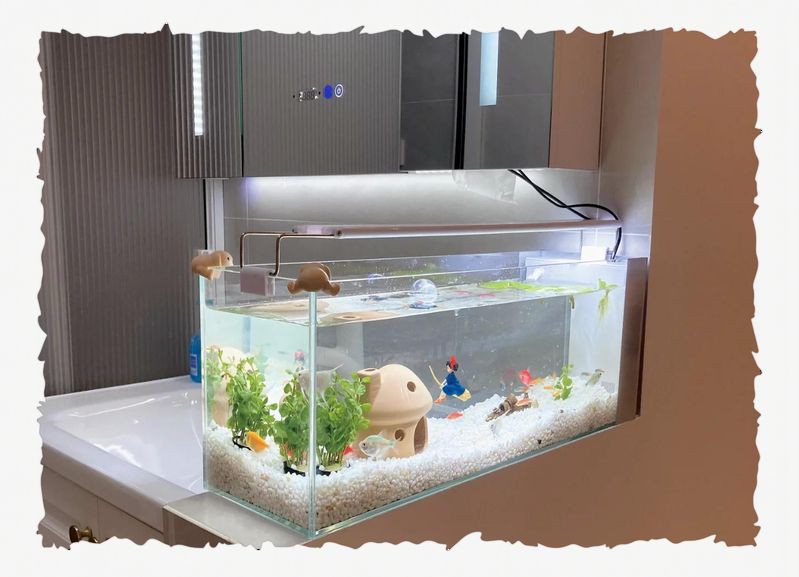 眉山魚缸定做，《眉山魚缸定做》在眉山地區