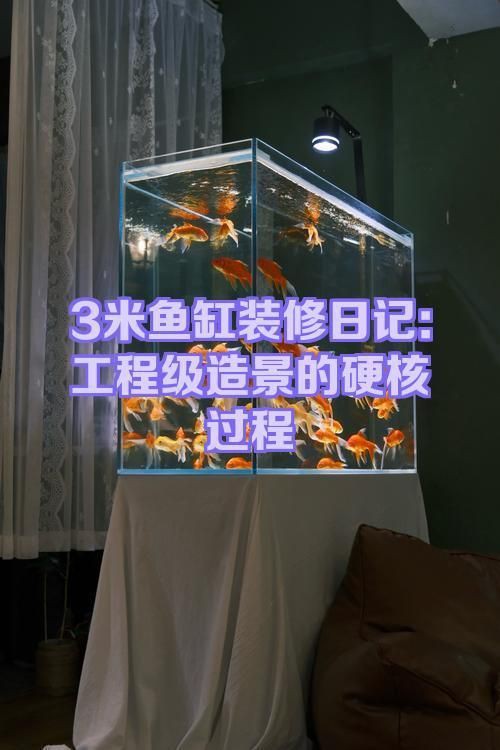 眉山魚缸定做，《眉山魚缸定做》在眉山地區