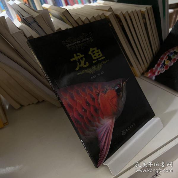 《龍魚》的作者是誰？，有聲書:《龍魚》