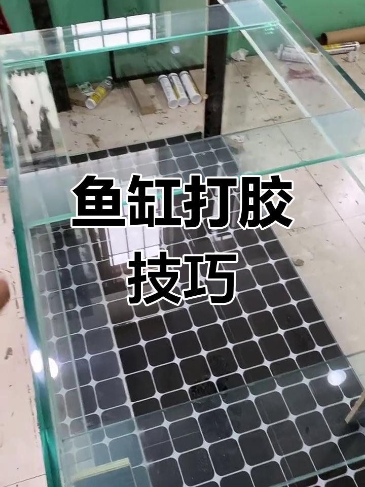 贛州魚缸定做，贛州地區(qū)的魚缸定做服務(wù)日益完善涵蓋多種類型與場(chǎng)景需求