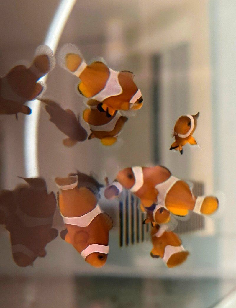 贛州魚缸定做，贛州地區(qū)的魚缸定做服務(wù)日益完善涵蓋多種類型與場(chǎng)景需求