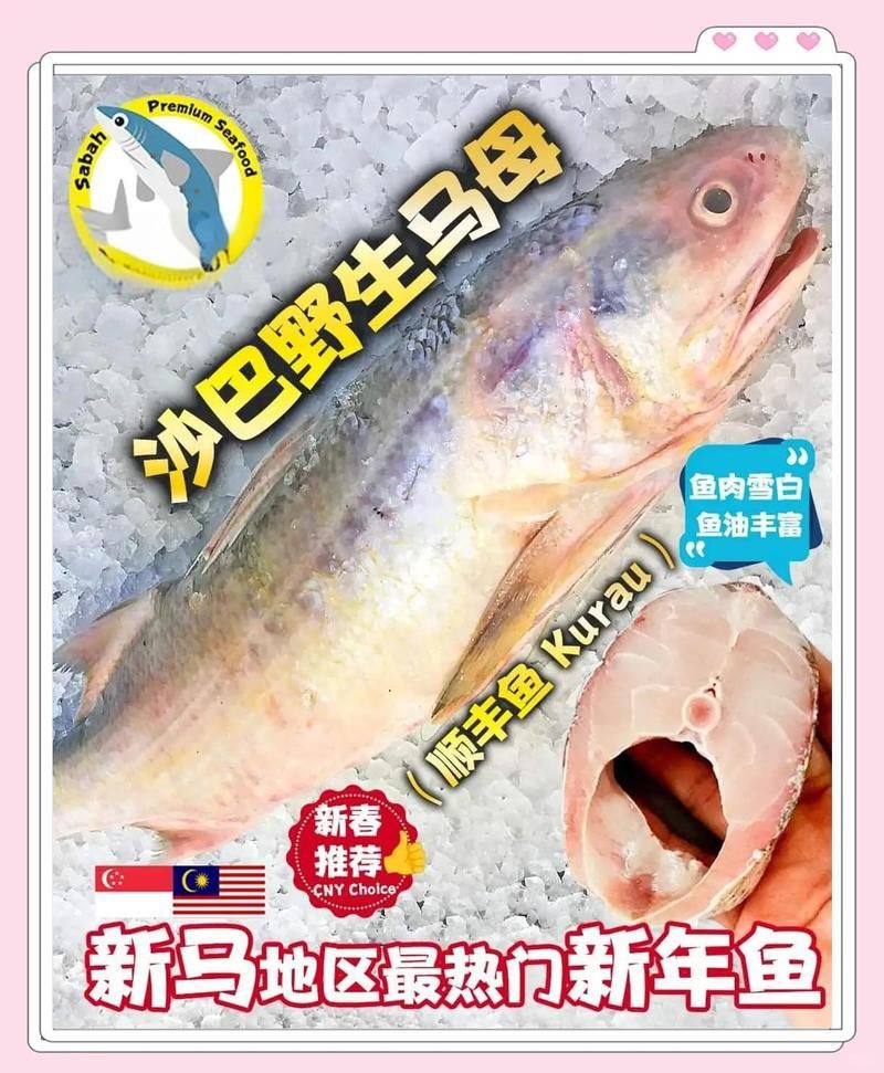 馬來西亞十大名魚順口溜，馬來西亞十大名魚