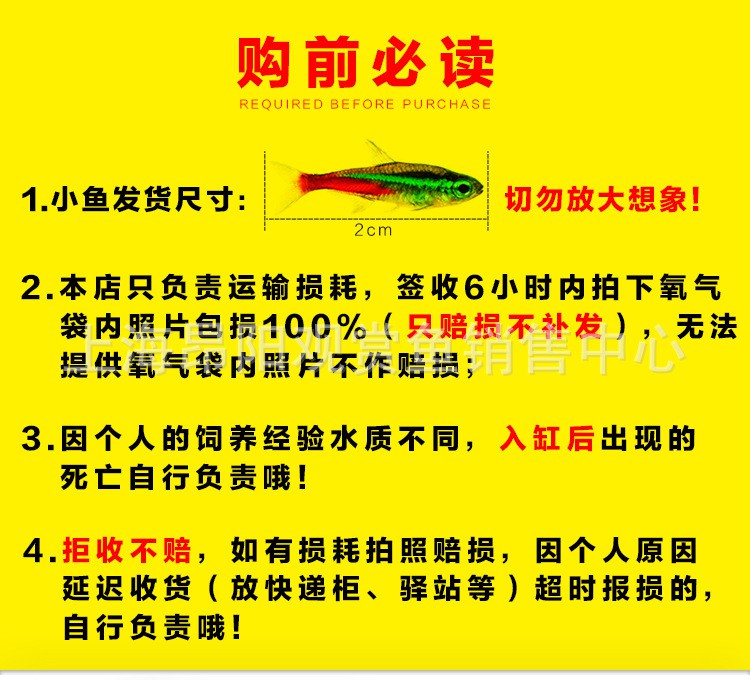 哪里可以購買到高品質的紅龍魚苗？，廣州龍魚祥龍魚場廣州龍魚祥龍魚場養殖技術或品種特性