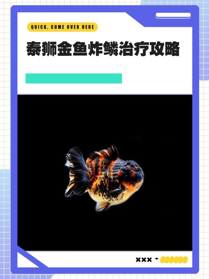 魚炸鱗用什么藥效果快，《魚炸鱗用什么藥效果快》 魚炸鱗用什么藥效果快，《魚炸鱗用什么藥效果快》 龍魚百科 第6張