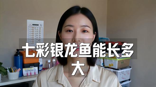 哪些因素會影響銀龍魚的生長？，七彩銀龍魚能長多大文絮阿姨銀龍魚能長多大文絮阿姨