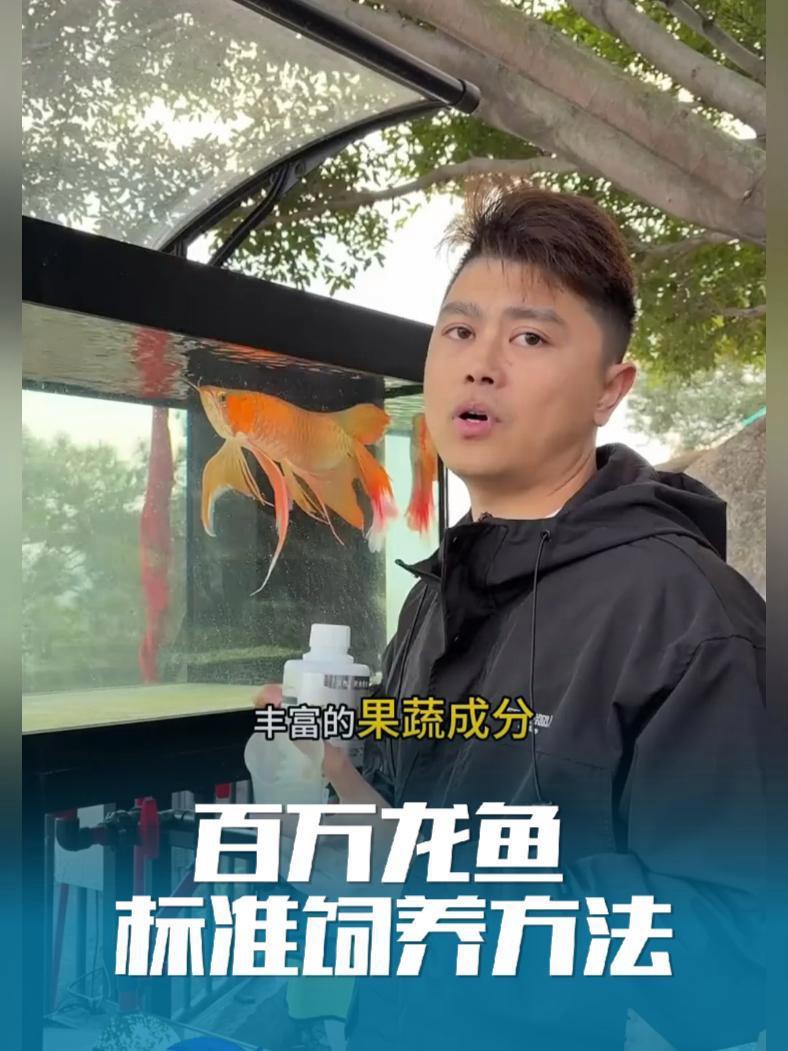 鳳凰紅龍魚的最佳飼養環境,鳳凰紅龍魚最佳飼養環境需綜合多方面因素 龍魚百科 第7張 鳳凰紅龍魚的最佳飼養環境,鳳凰紅龍魚最佳飼養環境需綜合多方面因素 鳳凰紅龍魚的最佳飼養環境,鳳凰紅龍魚最佳飼養環境需綜合多方面因素 龍魚百科 第7張