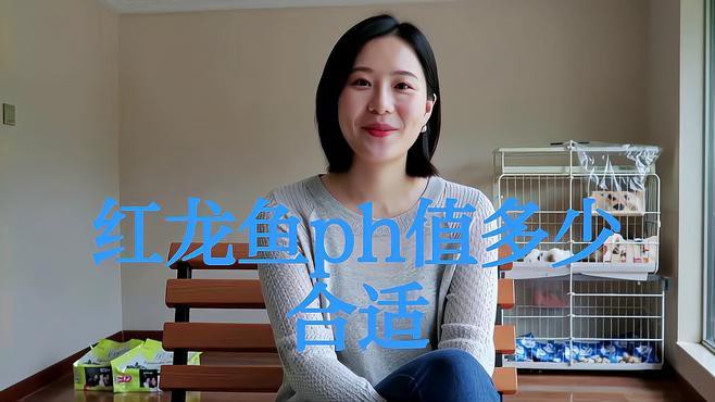 如何判斷水質是否適合血紅龍，簡易水質檢測及水質檢測及水質知識科普嗶哩嗶哩嗶哩