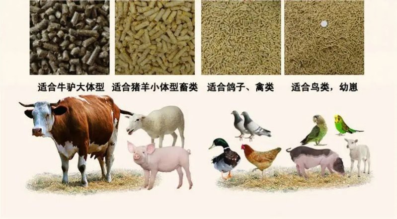 如何判斷紅龍飼料的質量，如何判斷紅龍飼料的質量至關重要，水產飼料簡易鑒別全攻略