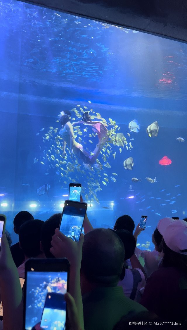 內(nèi)蒙古水族店，內(nèi)蒙古水族店價(jià)格范圍