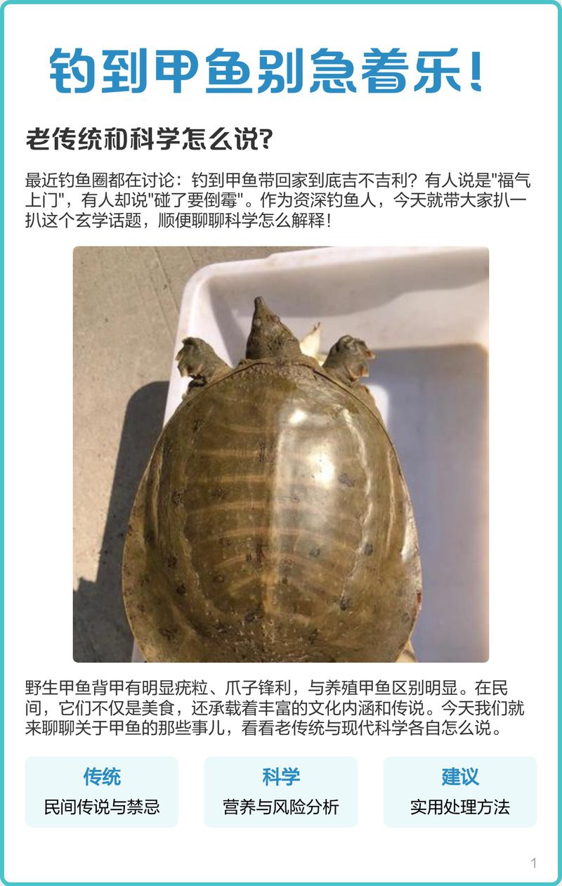 甲魚不請自來是什么預兆，甲魚不請自來的原因