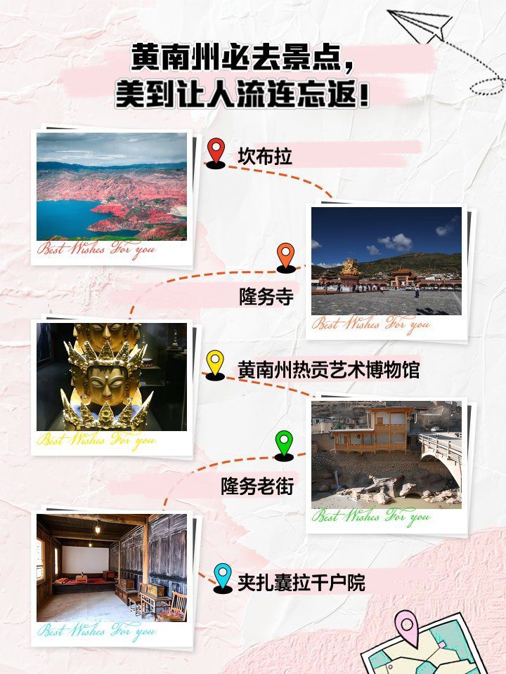 黃南藏族自治州龍魚店，黃南藏族自治州的龍魚店