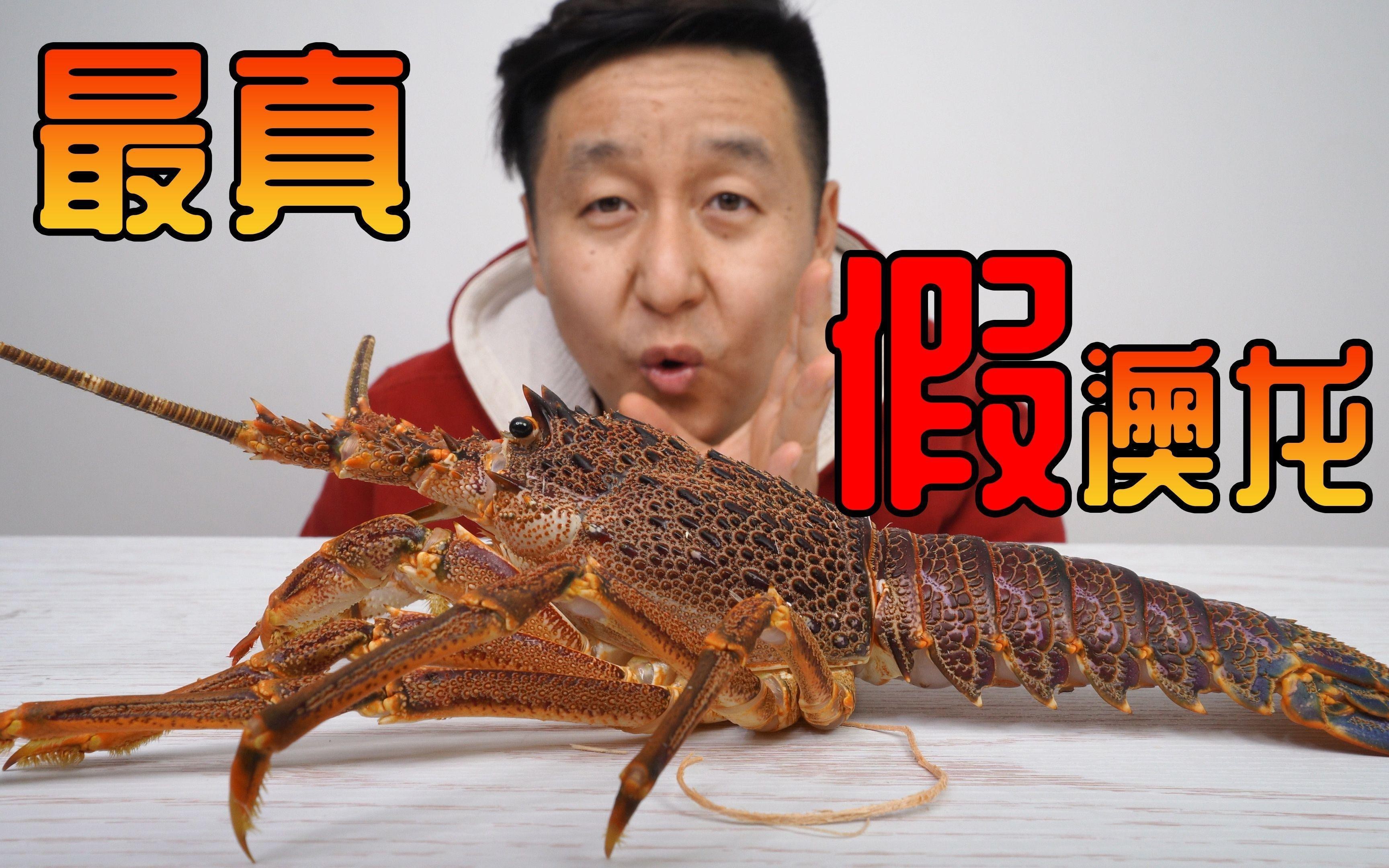 如何區(qū)分真假澳龍和紅龍？，區(qū)分真假澳龍和紅龍的區(qū)別科學知行如何區(qū)分真假澳龍和紅龍的區(qū)別