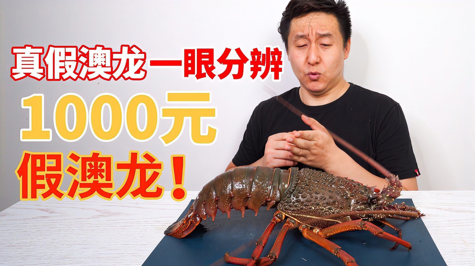 如何區(qū)分真假澳龍和紅龍？，區(qū)分真假澳龍和紅龍的區(qū)別科學知行如何區(qū)分真假澳龍和紅龍的區(qū)別