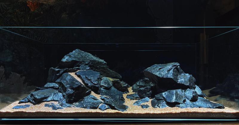 80cm大寬魚缸一般寬多長(zhǎng)，《80cm大寬魚缸一般寬多長(zhǎng)》魚缸尺寸參照表魚缸養(yǎng)魚大全