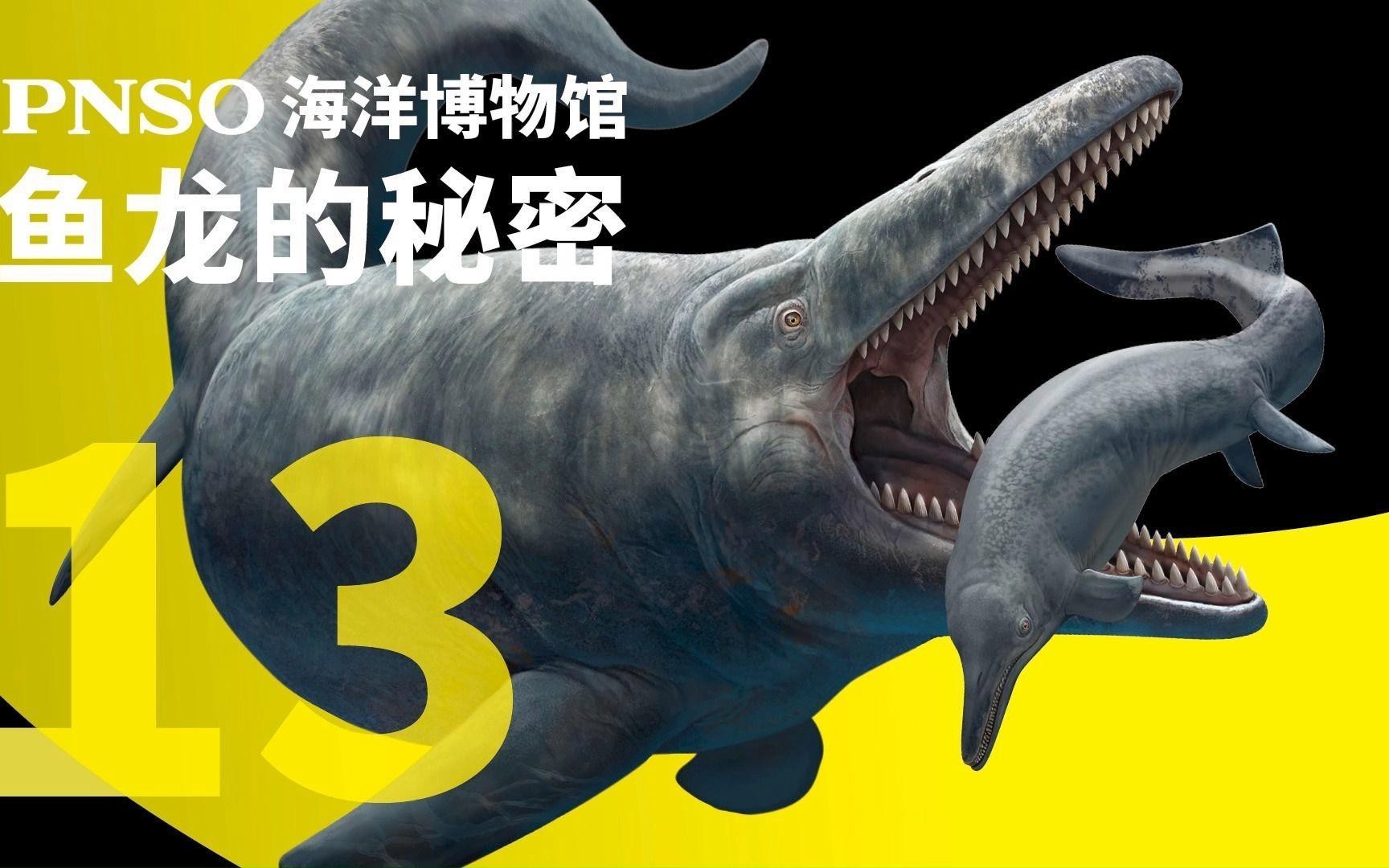 再給我一些魚龍種類，魚龍類中主要屬種的分類及特征概述：部分物種后獨立為新屬