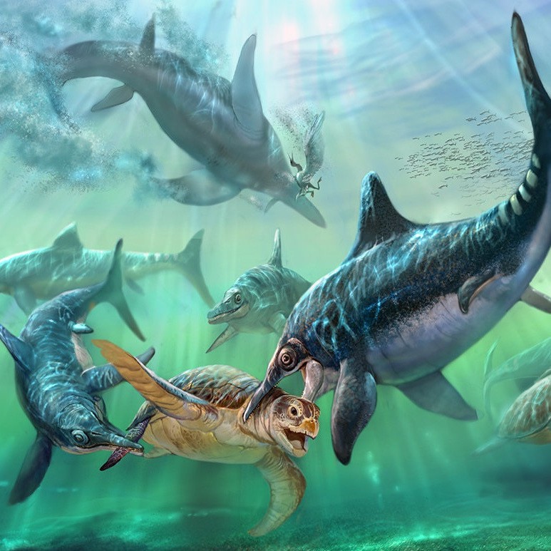 再給我一些魚龍種類，魚龍類中主要屬種的分類及特征概述：部分物種后獨立為新屬