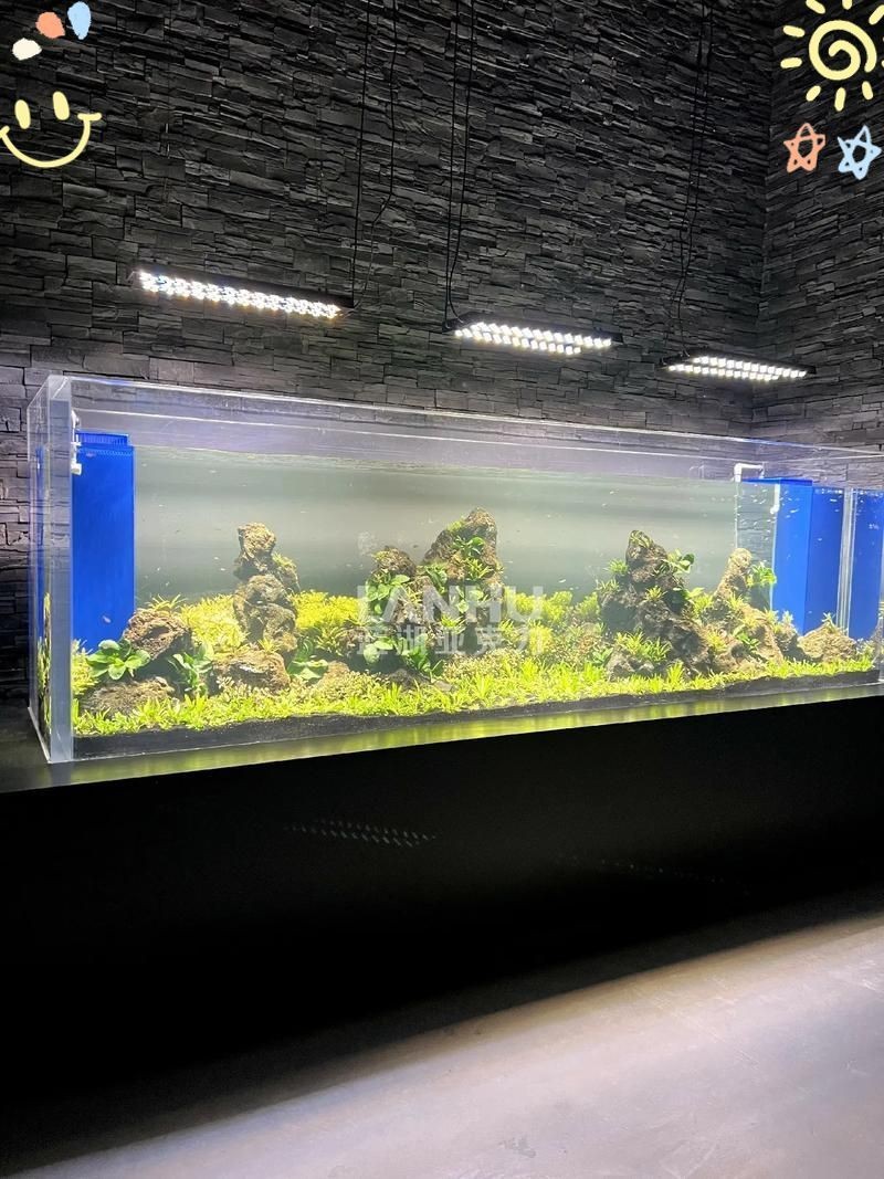 鶴壁魚缸定做，鶴壁地區的魚缸定做服務融合了個性化設計與專業技術