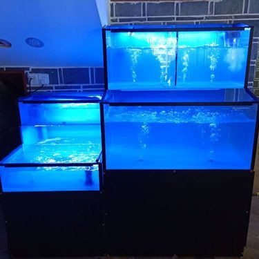 婁底魚(yú)缸批發(fā)市場(chǎng)，婁底魚(yú)缸批發(fā)市場(chǎng)分布
