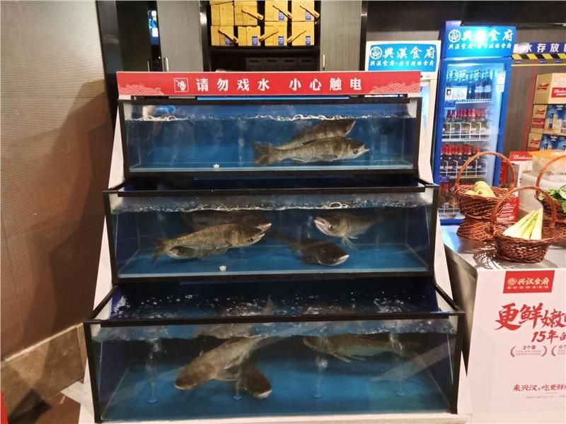 婁底魚(yú)缸批發(fā)市場(chǎng)，婁底魚(yú)缸批發(fā)市場(chǎng)分布